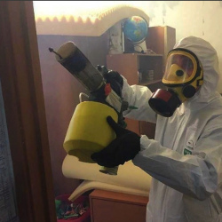 Уничтожение клопов в квартире. Ельня